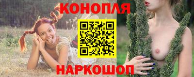 гашик Можайск