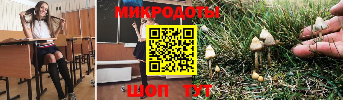 Псилоцибиновые грибы мицелий Тихвин
