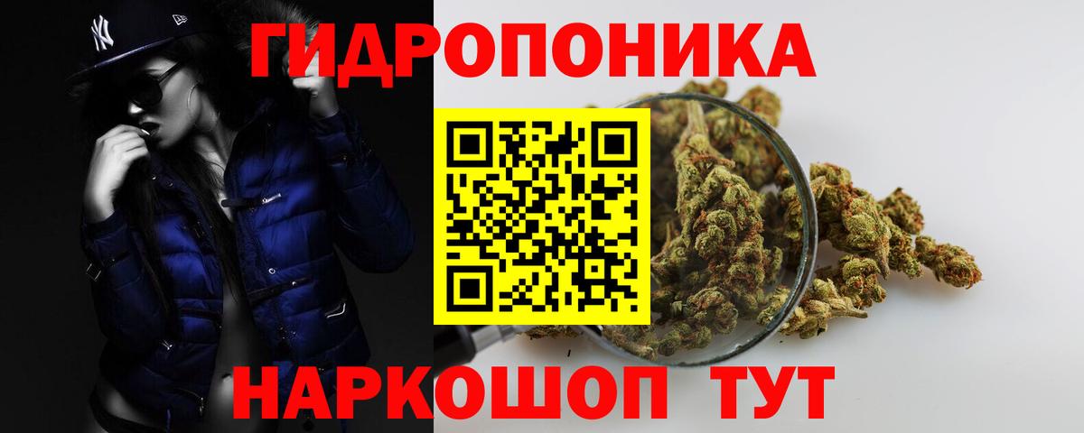Конопля тримм  Каннабис THC 21%  Бошки марихуана THC 21%  Вход с VPN  Тихвин  Каннабис планчик 